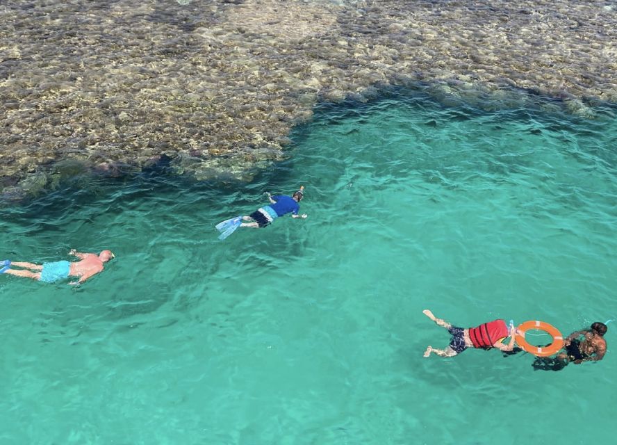 Sharm El-Sheikh: Premium Ras Mohammed & White Island Cruise - Activity Overview and Pricing