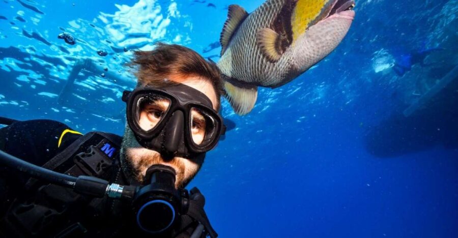 Sharm El Sheikh: Ras Mohamed, White Island, Snorkel & Diving