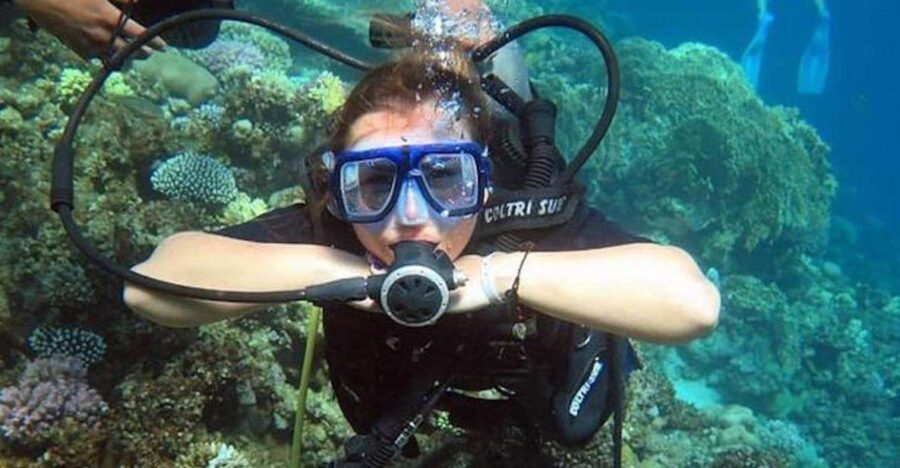 Sharm:Introduction Dive From the Shore & PADI Courses
