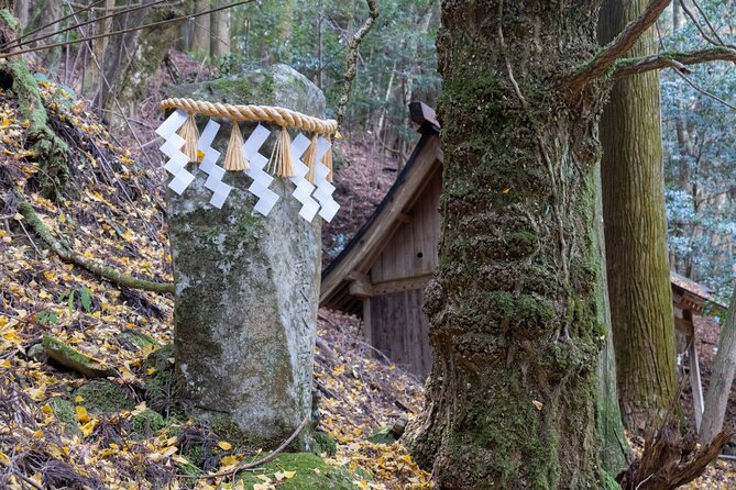 Shinrinyoku Explore the Historic Sites of Shugendo Culture