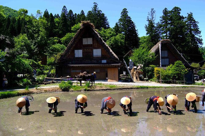 Shirakawa-Go From Takayama/Nagoya One Day Bus Ticket