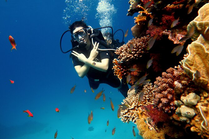 Shore Dives in Sharm El Sheikh Red Sea