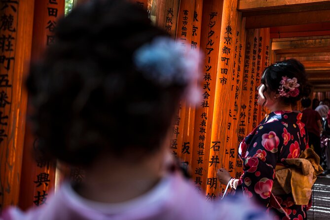 Shore Excursion: Full Day Private Kyoto Tour From Osaka/Kobe Port