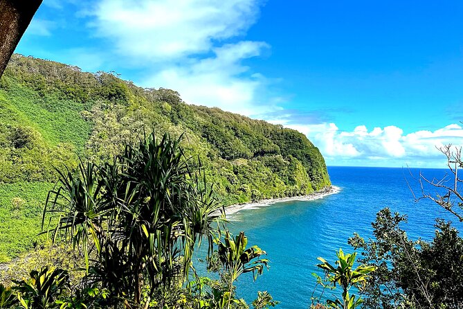 Shore Excursion of Maui Review: Unforgettable Adventure