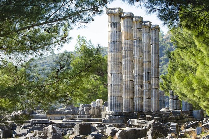 Shore Excursions : Ancient of Priene & Miletos & Karine (Doganbey Village)