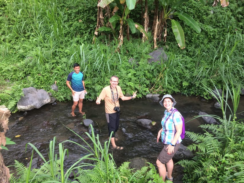 Sidemen: Rice Terraces and Hidden Waterfall - Tour Overview