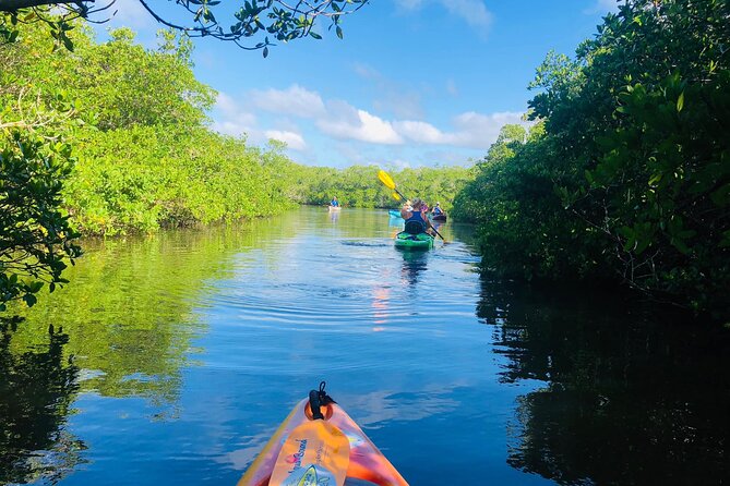 Siesta Key Guided Eco Tour - Exploring the Jim Neville Marine Preserve