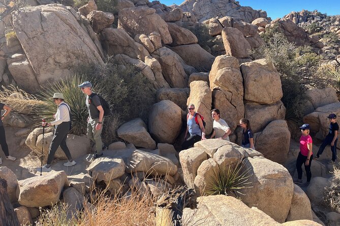 Sightseeing Adventure Tour of Joshua Tree National Park