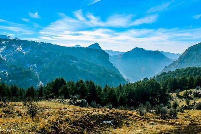 Sightseeing All-Inclusive Private Tour to Qadisha Valley, Bcharre and Cedars