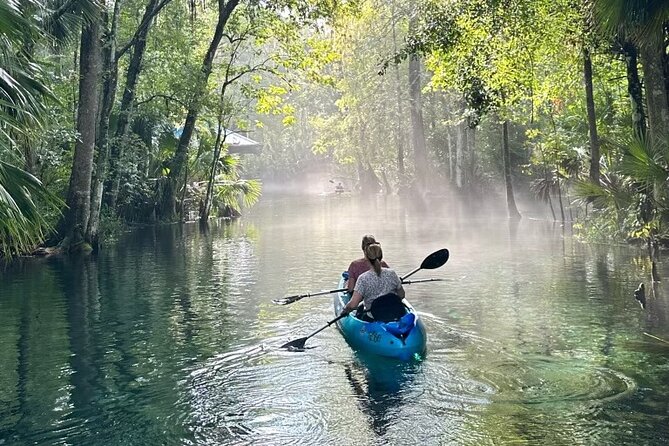 Silver Springs Kayak Rental Review: An Adventure Awaits