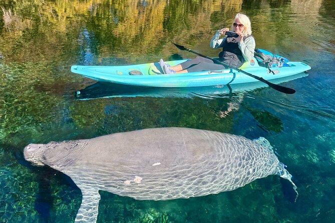 Silver Springs Premium Florida Manatee & Wildlife Experience - Overview of the Experience