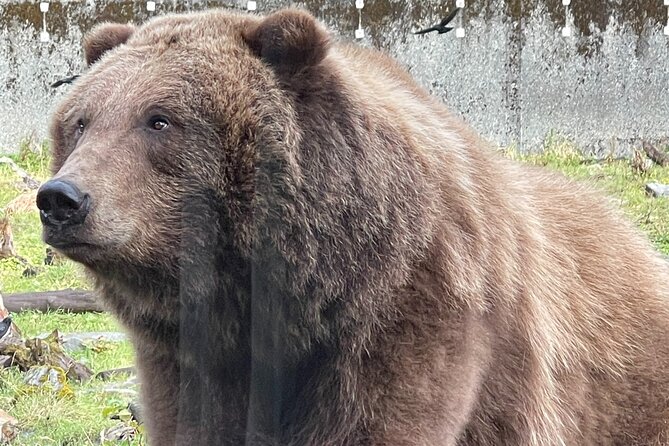 Sitka’s Favorite Sites Tour Review