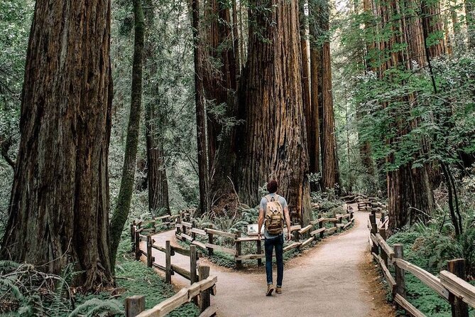 Skip The Bus: Muir Woods & Sausalito by Minivan