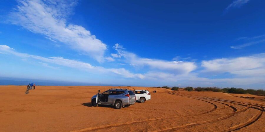 Small Desert Trip
