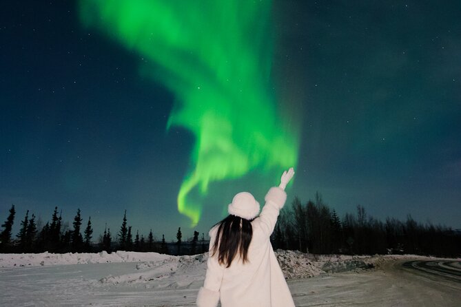 Small Group Aurora Viewing Tour With Free Photography