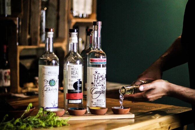 Small Group Food Tour and Mezcal Tasting in Cancun - Overview of the Tour