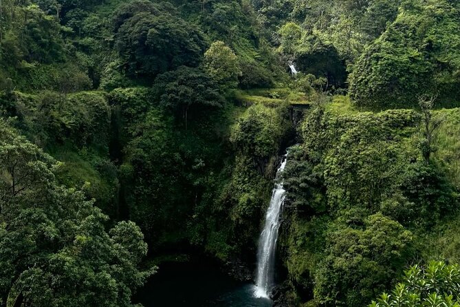 Small Group Full Day Road to Hana Adventure