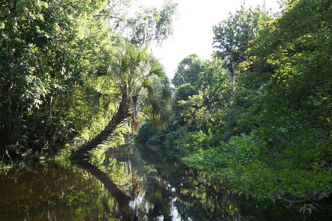 Small Group Scenic Wekiva River Kayak Tour Review