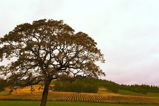 Small Group: Willamette Valley Wine Tour From Portland (Tasting Fees Included)