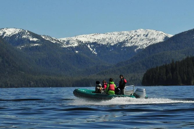Small-Group Zodiac Wilderness Adventure From Ketchikan
