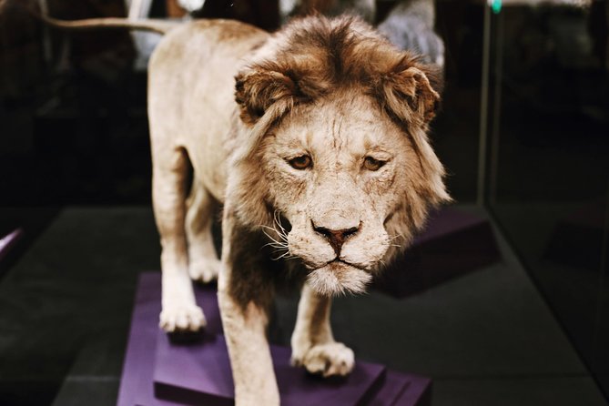 Smithsonian Natural History + American History Semi-Private Tour - Accessibility and Requirements