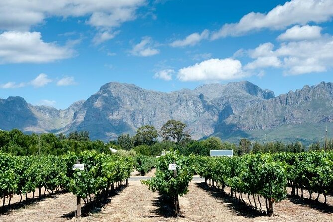 Smoky Mountains 3 Days or 7 Days Wine Tasting Pass