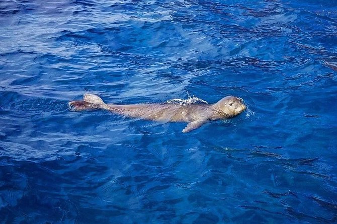 Snorkel Vessel Review: Private 3-Hour Adventure