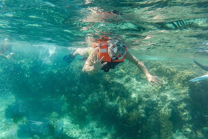 Snorkeling Adventure in Isla Mujeres