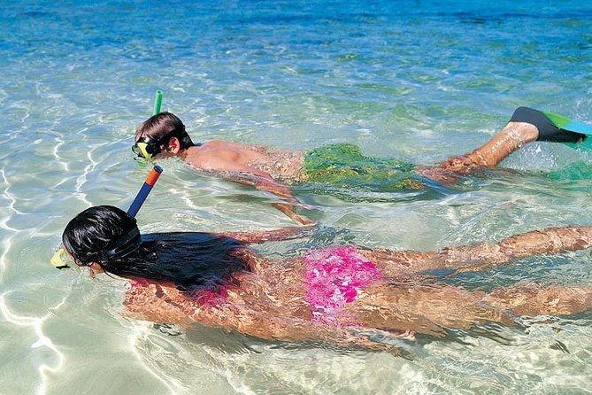 Snorkeling Discovery Sailing in Los Cabos - Highlights of the Experience