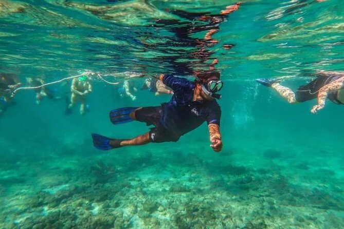 Snorkeling Experience in Cancun - Hands Underwater Museum - Snorkeling Overview