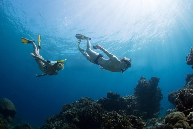 Snorkeling Tour at Lands End in Cabo San Lucas