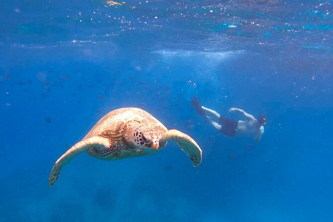 Snorkeling With Turtle/Water Scooter/Paddleboard Adventures Oahu - Overview of the Adventure