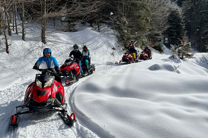 Snowmobile Tour on the Mountains From Brasov