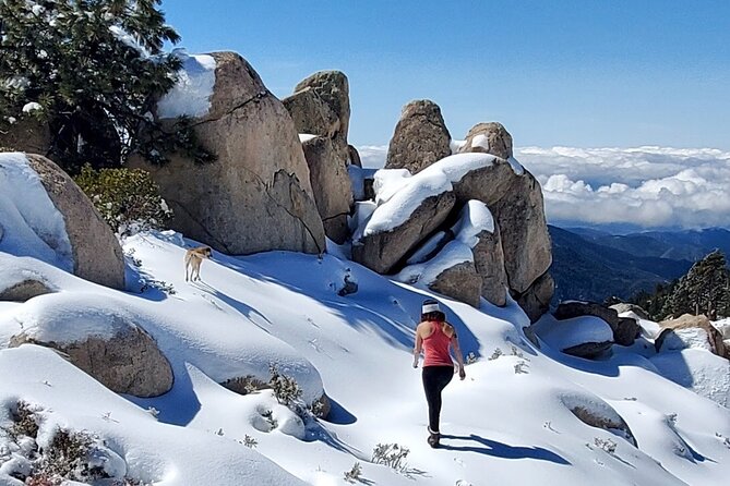 Snowshoe Tour Big Bear Lake Review