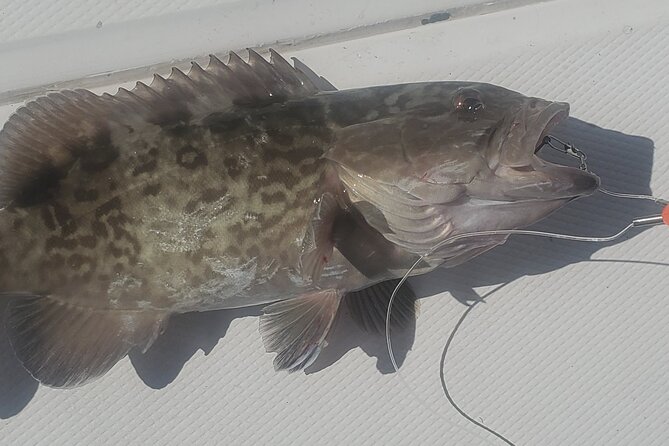 Sonnys Boat Tours Half Day Fishing Charter Review - Inclusions