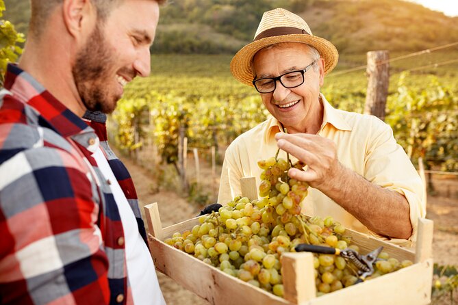 Sonoma to SFO Private Transfer Review