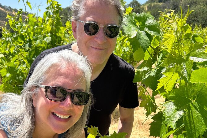 Sonoma Trike and Hike: A Review