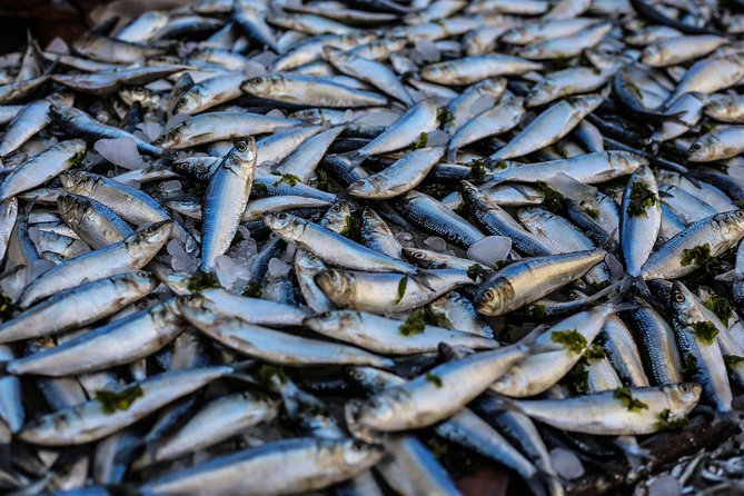 South Gambia Tour – Fishing Village and Paradise Beach