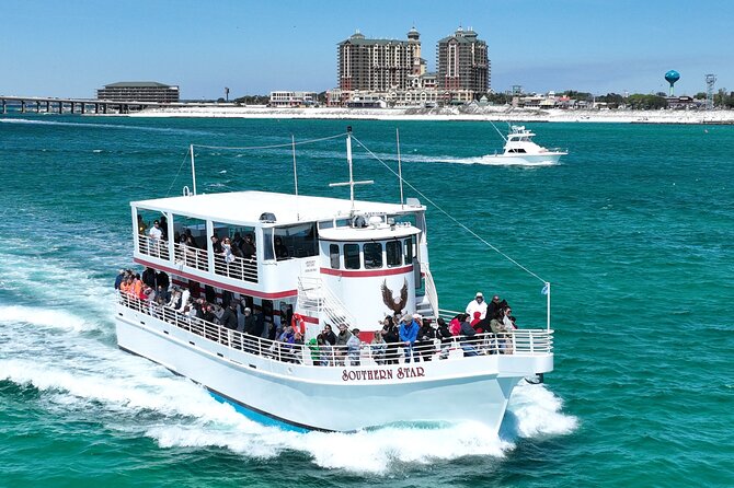 Southern Star Dolphin Cruise - Cruise Overview