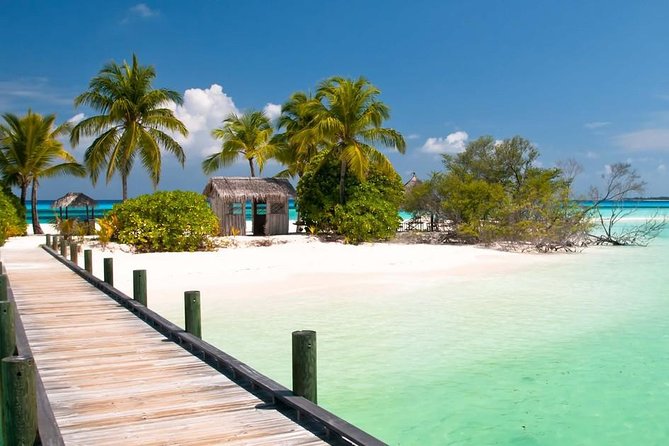 Split Cruise to Grand Bahamas