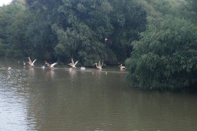 Sport Fishing in Delta Dunarii With Camely Cruise Boat.