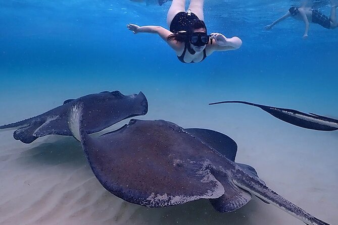 Starfish and Stingray City Fun Tour With Reef Snorkeling- 3 Stops - Tour Overview and Highlights