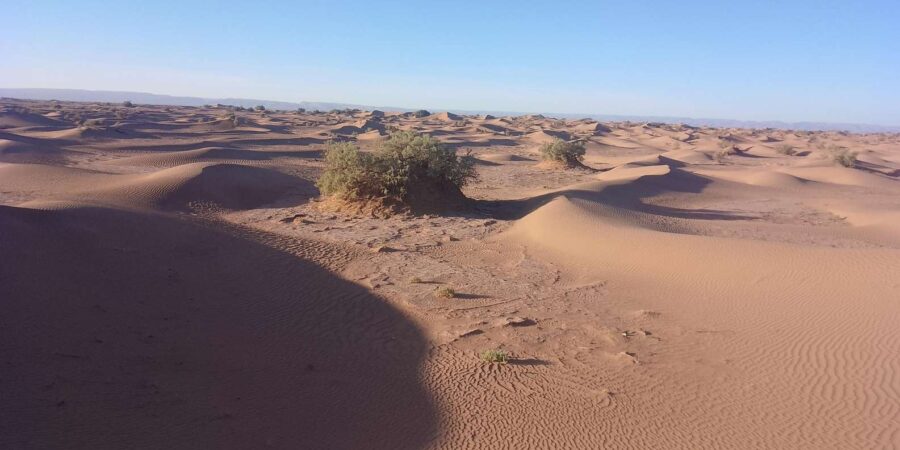 Starry Nights at the Majesty of Sahara Desert in Erg Chigaga