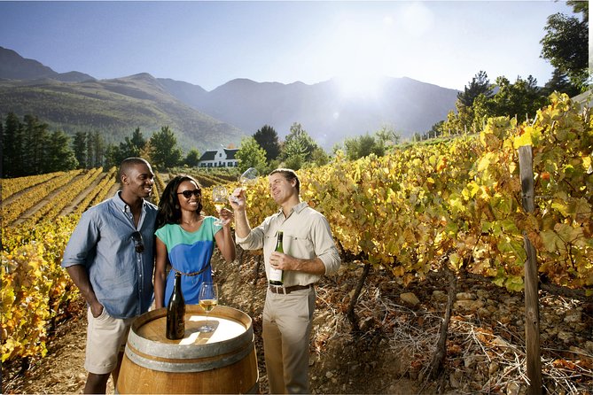 Stellenbosch, Paarl & Franschhoek Private Full Day Wine Tour