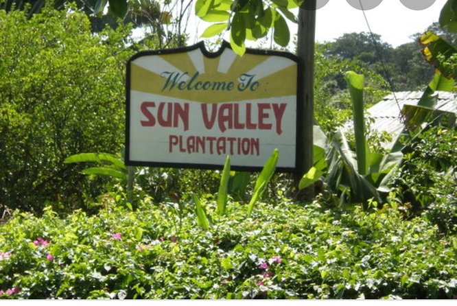 Sun Valley Farm Tour