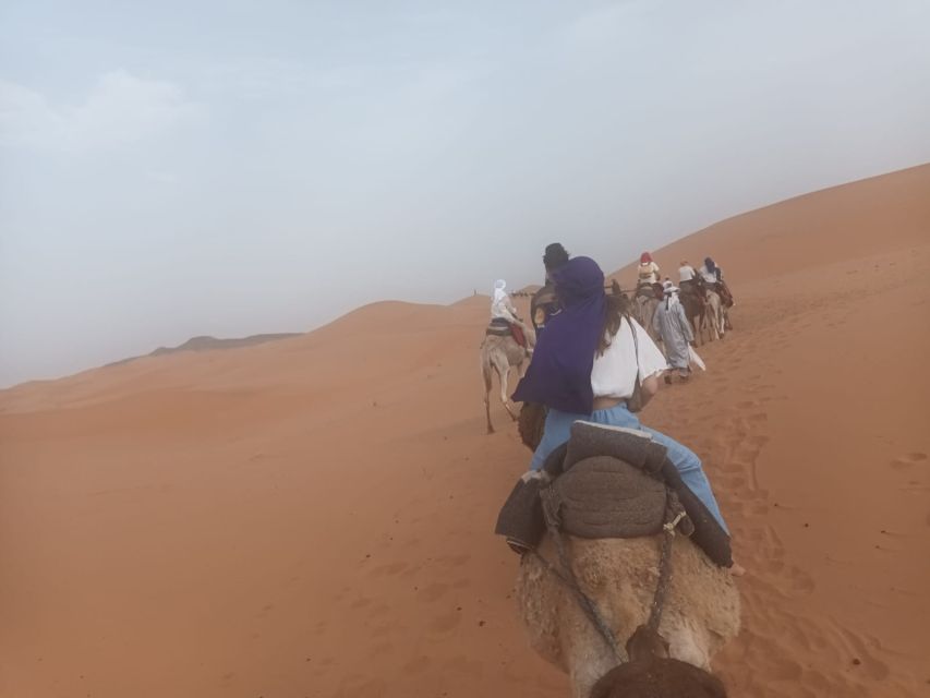 Sunset Camel Ride in Agafay Desert From Marrakech
