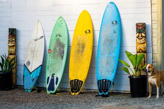 Surfboard Rental All Day Solana Beach Fletchers Cove