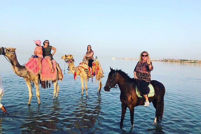 Swimming By Horse in Red Sea, Horse Riding Sea & Desert-Hurghada