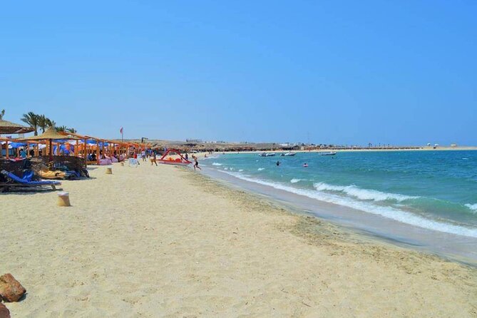 Swimming With Dugong & Turtles in Abu Dabbab & Transfer -Hurghada - Experience Highlights