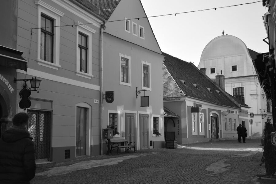 Szentendre Experience With Gabor - Overview of the Experience
